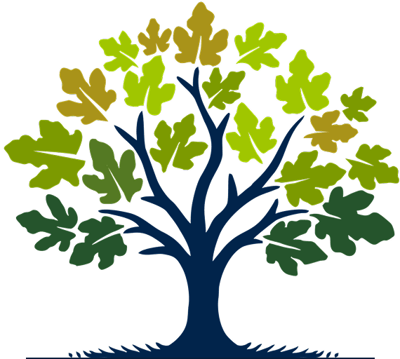 Colorful tree illustration with autumn leaves